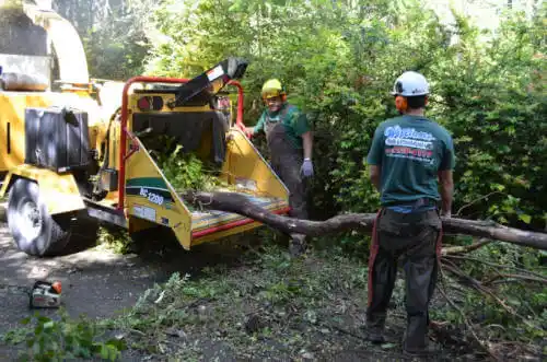 tree services Wagon Wheel